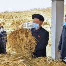 어룡농장 연합뉴스