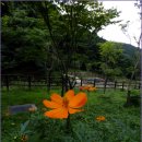 옷샘 - 구리시 검배로60번길 10 | 옷샘