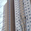 김포호수초등학교 이미지