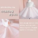 공주드레스피아