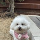 바른생한의원 이미지