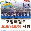 고일태권도