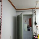 부억경로당 Daum카페