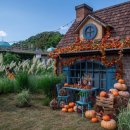 테마정원 이미지