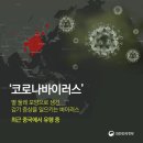 미니휘트니스3 이미지