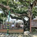 신촌마을 이미지