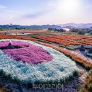 체육공원 가족휴게공원 이미지