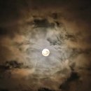 이혁농장 | 조용히 완전히 영원히