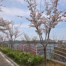 낙동강변로3-3 이미지