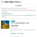 팜밸리 이미지