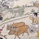 소 이야기 이미지