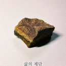 허니팟 이미지