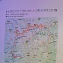 아카12기전남 보성 초암산:떠나간 철쭉 군락 이미지