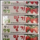 강학수 카카오 검색결과