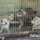 유일한농장 이미지