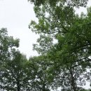 남원 사직단 이미지