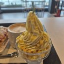 백야 | 강릉 대형카페 백야커피 옥시기아이스크림 후기