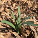 광영 큰골약수터 이미지