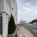 해나정