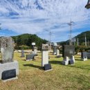 완도 고금도 지석묘군 이미지