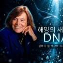 지구의 미래는 왜 미지의 바다에 달려 있는가? | 실비아 얼 박사 이미지