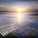 주니 태양광발전소 이미지