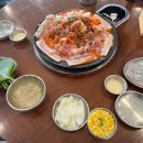 쭈꾸미도사 이미지