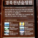 북문 상 1호(비27호) | *경주 계림. 대릉원. 첨성대. 천년 숲. 불국사* (2025. 11. 15)