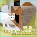 레드베어 | 레드퍼피 네코야 웨이브 스크래쳐 베어형 후기 (숨숨집 겸용 고양이 스크래쳐)