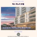 렉스호텔 | 렉스 하노이 호텔 후기 하노이 추천 숙소, 솔직 리뷰
