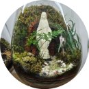 (원데이) 나만의 작은 숲, 테라리움 이미지