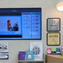 가나 동물병원 | 광진구 비비동물병원 노령견 강아지 건강검진 후기 비용 내돈내산