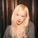 제제미용실 네이버블로그