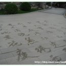 현이 햇빛발전소 1호기 | 비폭력 '한석봉' 퍼포먼스의 절정, 꺼져! 고리!!