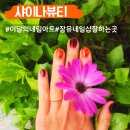 샤이나스킨케어