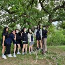 창녕여자고등학교 이미지