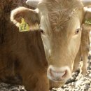 혁신에스에스 이미지