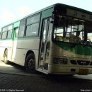 김동우내과의원 이미지