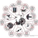 파인짐(FINE GYM) 이미지