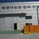 북영덕농협 창수지점 이미지