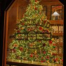 강남대로12길 24-2 이미지