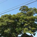 내감경로당 이미지