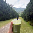 Plaire(플레르) 관광호텔 | 치앙마이 여행 코끼리투어 엘리핀팜 예약? 몬쨈 도이수텝 투어