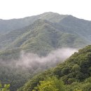 평풍농장 네이버블로그