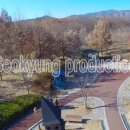 서경프로덕션 이미지