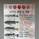 용궁복어 이미지