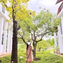 라야요가 | 태국 치앙마이 라야헤리티지 5성급 호텔 리조트 내돈내산 숙소 추천 취향저격