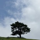 백우목장 네이버블로그