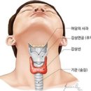목의 치유와 양생법2 - 기치유와 교정요법 이미지