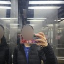 건수목장 | 2024. 3. 말의 일상(회사 gym, 가방위시, 로로피아나 재구매, 오피스룩 OOTD, 올드페리도넛)